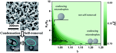 Graphical abstract: Hierarchically structured porous aluminum surfaces for high-efficient removal of condensed water