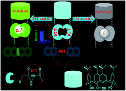 Graphical abstract: Fluorescence switch on–off–on receptor constructed of quinoline allied calix[4]arene for selective recognition of Cu2+ from blood serum and F− from industrial waste water