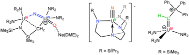 Graphical abstract: Recent developments in actinide–ligand multiple bonding