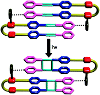 Graphical abstract: Influence of C–H⋯π interactions on the solid-state [2+2] cycloaddition reaction of a Ag(i) coordination complex in an inorganic co-crystal