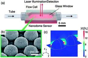 Graphical abstract: Medical applications of surface-enhanced Raman scattering