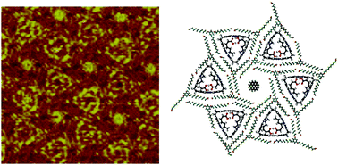 Graphical abstract: Site-selective effects on guest-molecular adsorption and fabrication of four-component architecture by higher order networks