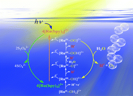 Graphical abstract: Enabling light-driven water oxidation via a low-energy RuIV [[double bond, length as m-dash]] O intermediate