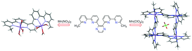 Graphical abstract: Novel self-assembled supramolecular architectures of Mn(ii) ions with a hybrid pyrazine–bipyridine ligand