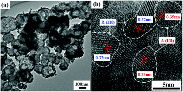 Graphical abstract: Bio-inspired synthesis of titania with polyamine induced morphology and phase transformation at room-temperature: Insight into the role of the protonated amino group