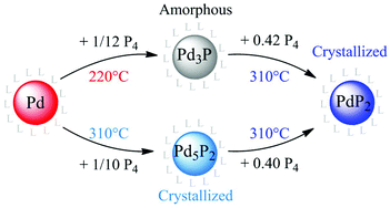 Graphical abstract: Structural transitions at the nanoscale: the example of palladium phosphides synthesized from white phosphorus