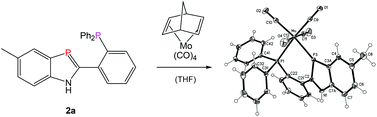Graphical abstract: π-Excess σ2P ligands: synthesis of biaryl-type 1,3-benzazaphosphole hybrid ligands and formation of P^P′–M(CO)4 chelate complexes