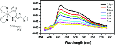 Graphical abstract: Photophysical behaviour of cyclometalated iridium(iii) complexes with phosphino(terthiophene) ligands