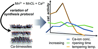Graphical abstract: Water-oxidation catalysis by synthetic manganese oxides – systematic variations of the calcium birnessite theme