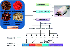 Graphical abstract: A diet formula of Puerariae radix, Lycium barbarum, Crataegus pinnatifida, and Polygonati rhizoma alleviates insulin resistance and hepatic steatosis in CD-1 mice and HepG2 cells