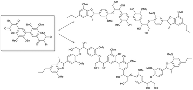 Graphical abstract: An efficient and flexible synthesis of model lignin oligomers