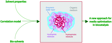 Graphical abstract: Biocatalysis in bio-derived solvents: an improved approach for medium optimisation