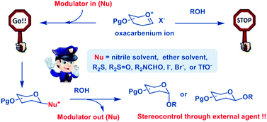 Graphical abstract: Modulating glycosylation with exogenous nucleophiles: an overview