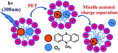 Graphical abstract: Micellar control of the photooxidation pathways of 10-methyl phenothiazine: electron versus energy transfer mechanisms