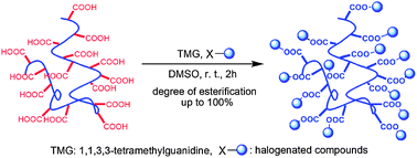 Graphical abstract: A facile and highly efficient strategy for esterification of poly(meth)acrylic acid with halogenated compounds at room temperature promoted by 1,1,3,3-tetramethylguanidine