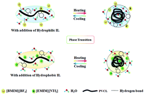 Graphical abstract: On the thermodynamic phase behavior of poly(N-vinylcaprolactam) solution in the presence of different ionic liquids