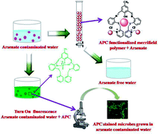 Graphical abstract: Visible light excitable fluorescence probe and its functionalized Merrifield polymer: selective sensing and removal of arsenate from real samples