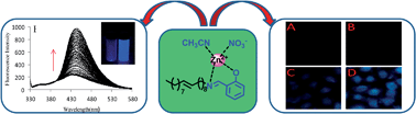 Graphical abstract: Imine-linked chemosensors for the detection of Zn2+ in biological samples