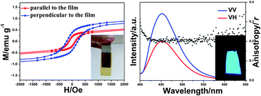 Graphical abstract: Flexible and transparent free-standing films with enhanced magnetic and luminescent anisotropy