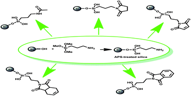Graphical abstract: Surface modification of nano-silica with amides and imides for use in polyester nanocomposites