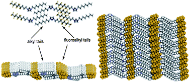 Graphical abstract: Anisotropic ionic conductivity in fluorinated ionic liquid crystals suitable for optoelectronic applications