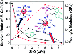Graphical abstract: Development and characterization of novel poly(ether ether ketone)/ZnO bionanocomposites