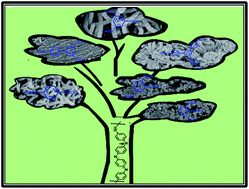 Graphical abstract: Aromatic bi-, tri- and tetracarboxylic acid doped polyaniline nanotubes: effect on morphologies and electrical transport properties