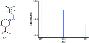 Graphical abstract: Measurement of NMDA receptor antagonist, CPP, in mouse plasma and brain tissue following systemic administration using ion-pair LC-MS/MS