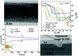 Graphical abstract: The sodium ion-assisted memory behaviour of a silicon nanowire partial composite field-effect transistor