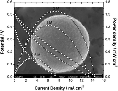 Graphical abstract: AuPd/polyaniline as the anode in an ethylene glycol microfluidic fuel cell operated at room temperature