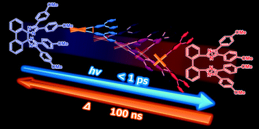 Graphical abstract: Nanosecond photochromic molecular switching of a biphenyl-bridged imidazole dimer revealed by wide range transient absorption spectroscopy