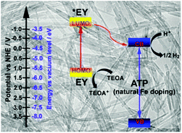 Graphical abstract: Photocatalytic hydrogen production from water under visible light irradiation using a dye-sensitized attapulgite nanocrystal photocatalyst