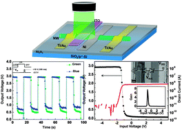 Graphical abstract: Non-classical logic inverter coupling a ZnO nanowire-based Schottky barrier transistor and adjacent Schottky diode