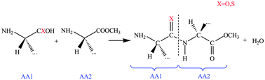 Graphical abstract: Energetics of oxo- and thio-dipeptide formation via amino acid condensation: a systematic computational analysis