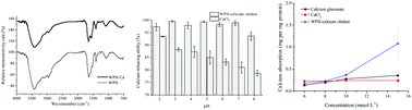 Graphical abstract: Fabrication and characterization of the nano-composite of whey protein hydrolysate chelated with calcium