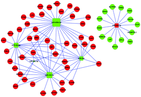 Graphical abstract: Comprehensive gene and microRNA expression profiling reveals miR-206 inhibits MET in lung cancer metastasis