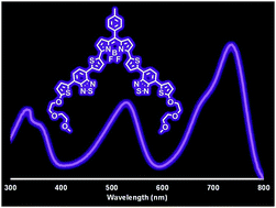 Graphical abstract: A deep-purple-grey thiophene–benzothiadiazole–thiophene BODIPY dye for solution-processed solar cells