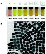 Graphical abstract: Plasmonic core–shell nanoparticles for SERS detection of the pesticide thiram: size- and shape-dependent Raman enhancement