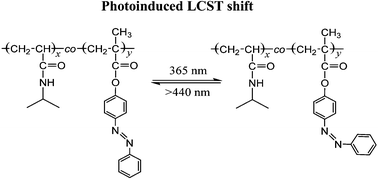 Graphical abstract: How can photoisomerization of azobenzene induce a large cloud point temperature shift of PNIPAM?