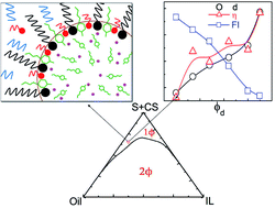 Graphical abstract: Combined phase behavior, dynamic light scattering, viscosity and spectroscopic investigations of a pyridinium-based ionic liquid-in-oil microemulsion