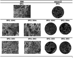 Graphical abstract: Starch-based polymer–IL composites formed by compression moulding and supercritical fluid foaming for self-supported conductive materials
