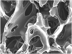Graphical abstract: Affinity-recognition-based polymeric cryogels for protein depletion studies