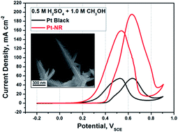 Graphical abstract: Enhanced electrocatalytic activities of pulse-mode potentiostatic electrodeposited single-crystal, fern-like Pt nanorods