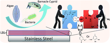 Graphical abstract: Layer-by-layer deposition of antifouling coatings on stainless steel via catechol-amine reaction