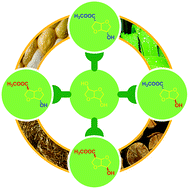 Graphical abstract: Isohexide hydroxy esters: synthesis and application of a new class of biobased AB-type building blocks