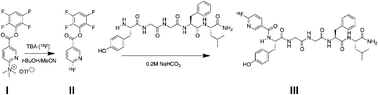 Graphical abstract: Rapid 18F-radiolabeling of peptides from [18F]fluoride using a single microfluidics device
