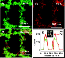 Graphical abstract: Simple synthesis of bimetallic alloyed Pd–Au nanochain networks supported on reduced graphene oxide for enhanced oxygen reduction reaction