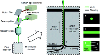 Graphical abstract: Integrated real-time optofluidic SERS via a liquid-core/liquid-cladding waveguide