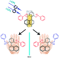 Graphical abstract: Dynamic induction of enantiomeric excess from a prochiral azobenzene dimer under circularly polarized light