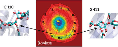 Graphical abstract: The complete conformational free energy landscape of β-xylose reveals a two-fold catalytic itinerary for β-xylanases